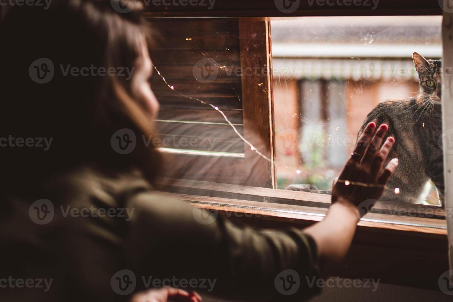 A woman looking out the window at a cat photo