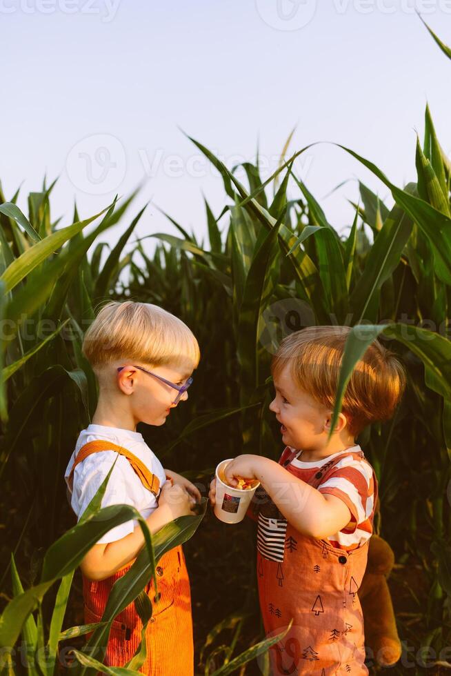 Two young boys in overalls standing in a corn field photo