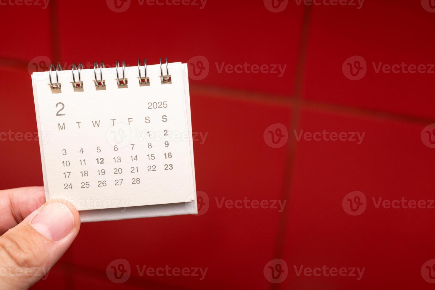 Desk Calendar for FEBRUARY 2025 background. Calendar concept with 2025 FEB calendar on red background. photo
