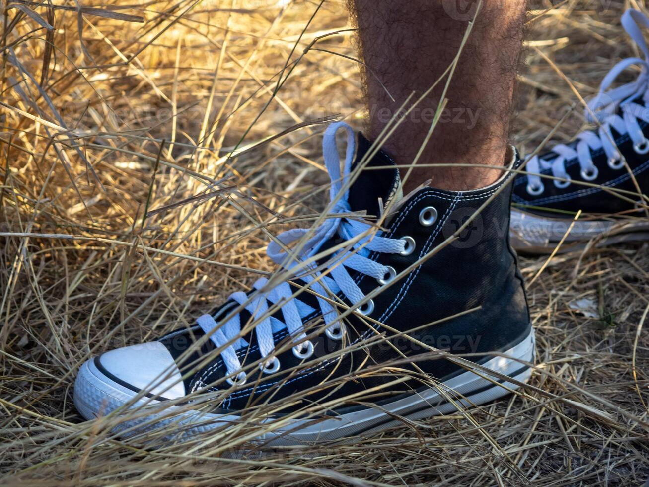 A person is standing in a sunny field surrounded by golden hay sporting a stylish pair of black and white sneakers photo