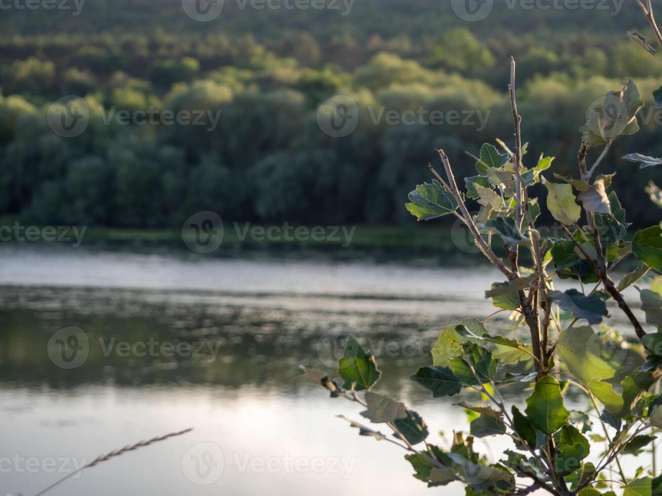 Tranquil river landscape at sunset with lush foliage reflecting on calm water in a serene natural setting photo