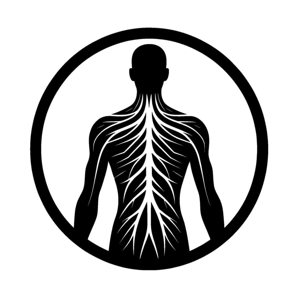 Artistic representation of the human nervous system, a silhouette of the back enclosed in a circular frame, showcasing the intricate pathways in white against a black backdrop. vector