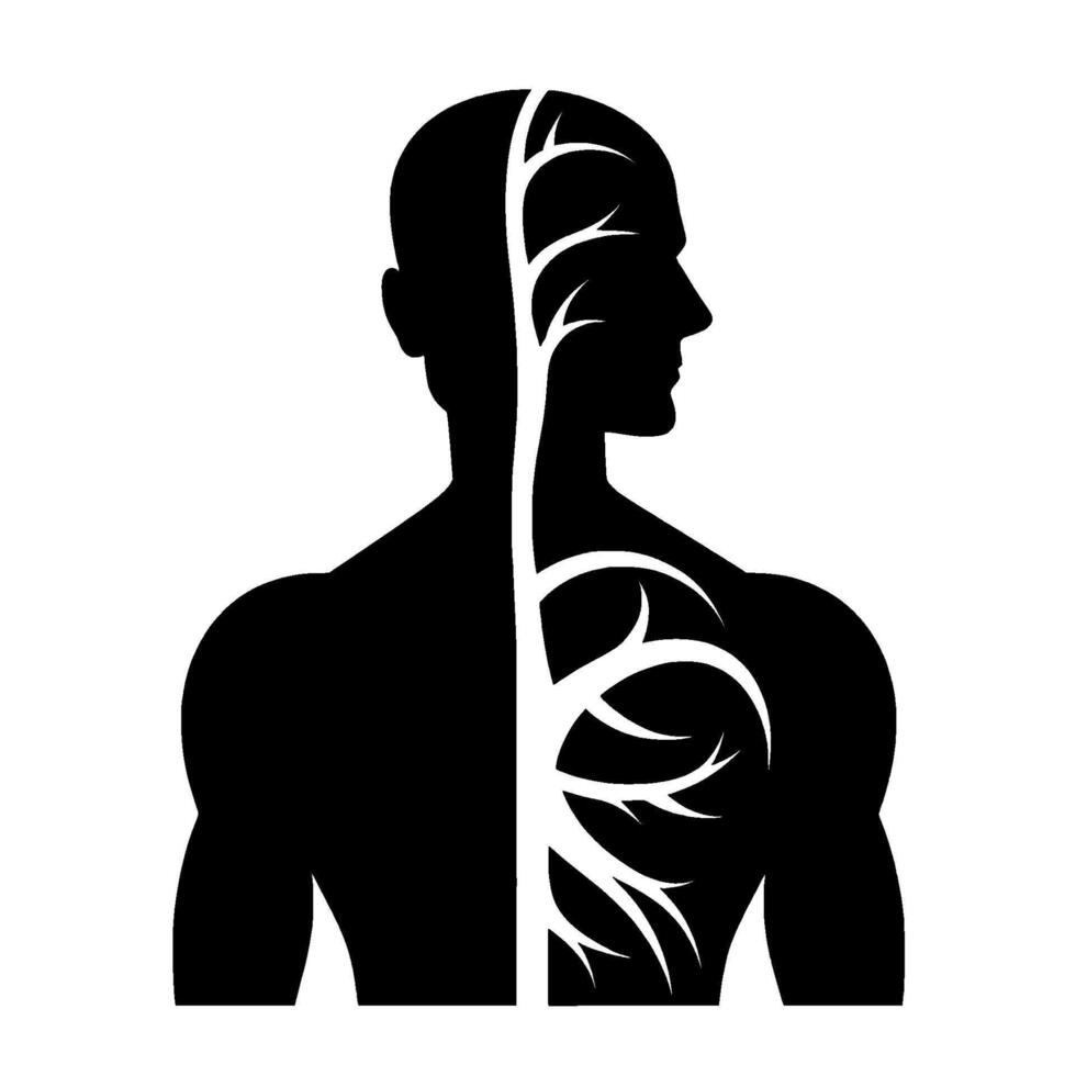 A stylized illustration of the human body with vascular system representation, a black silhouette with white branching veins. vector