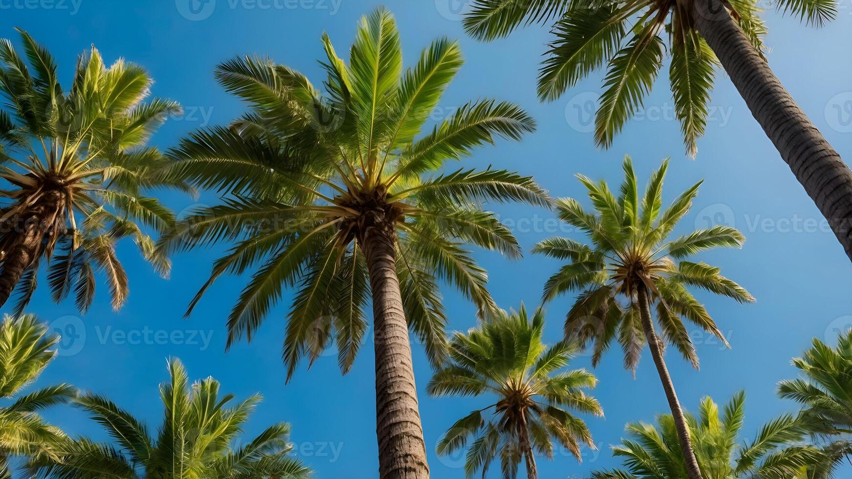 Lush Tropical Palm Trees Against a Clear Blue Sky in a Vibrant Forest 1 photo