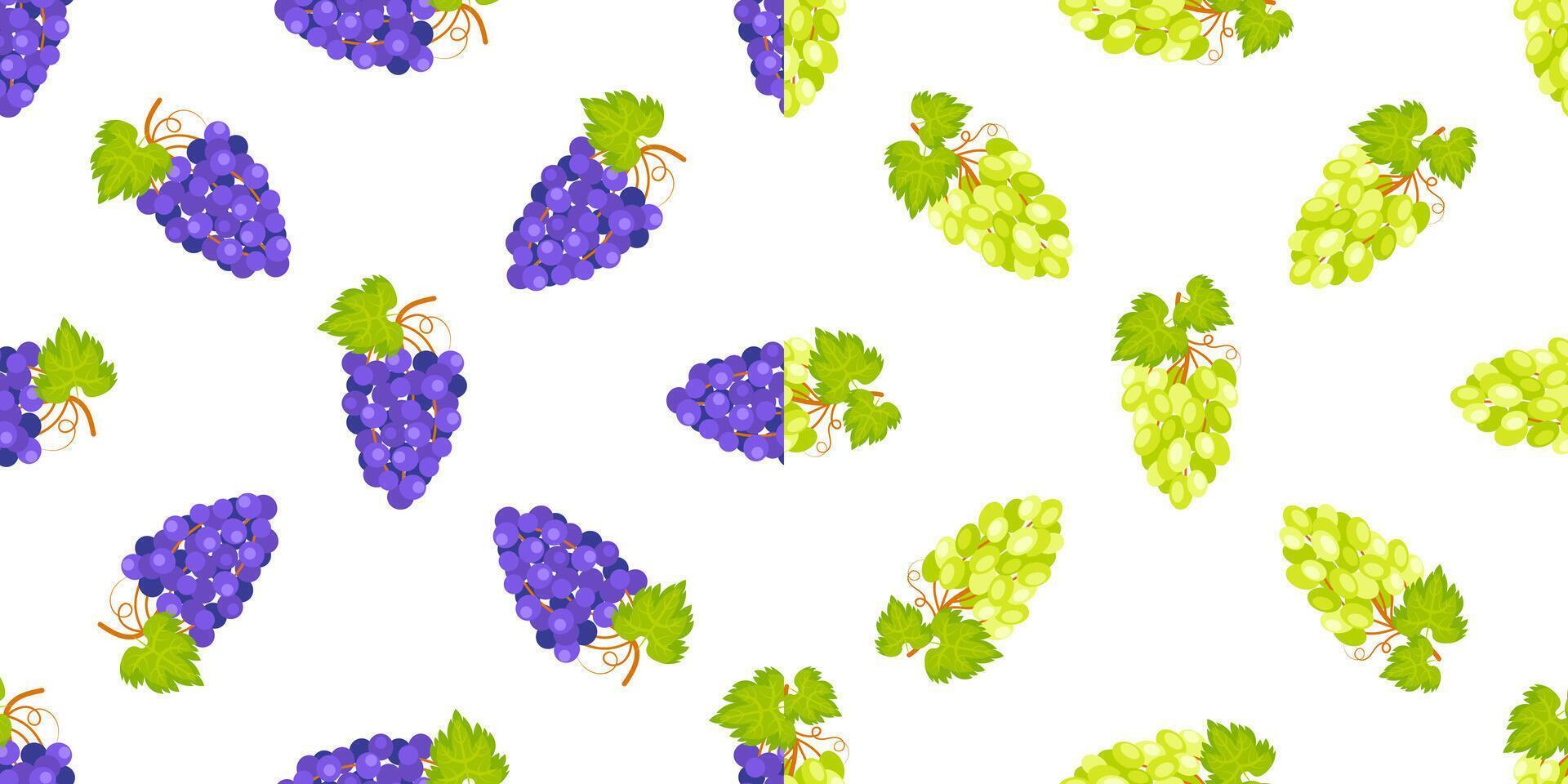 Seamless pattern with ripe green and purple grapes hanging from branch with leaves vector