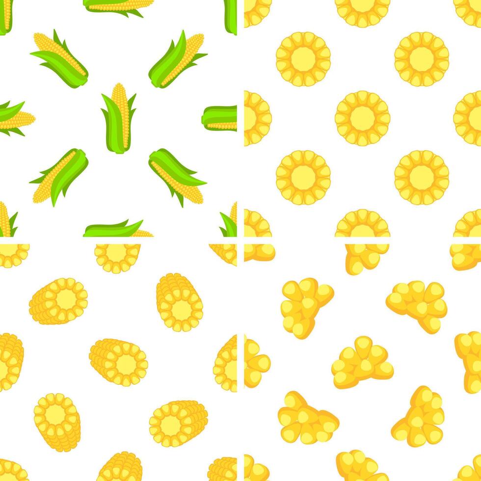Seamless pattern showing corn cobs, slices and kernels on white background vector