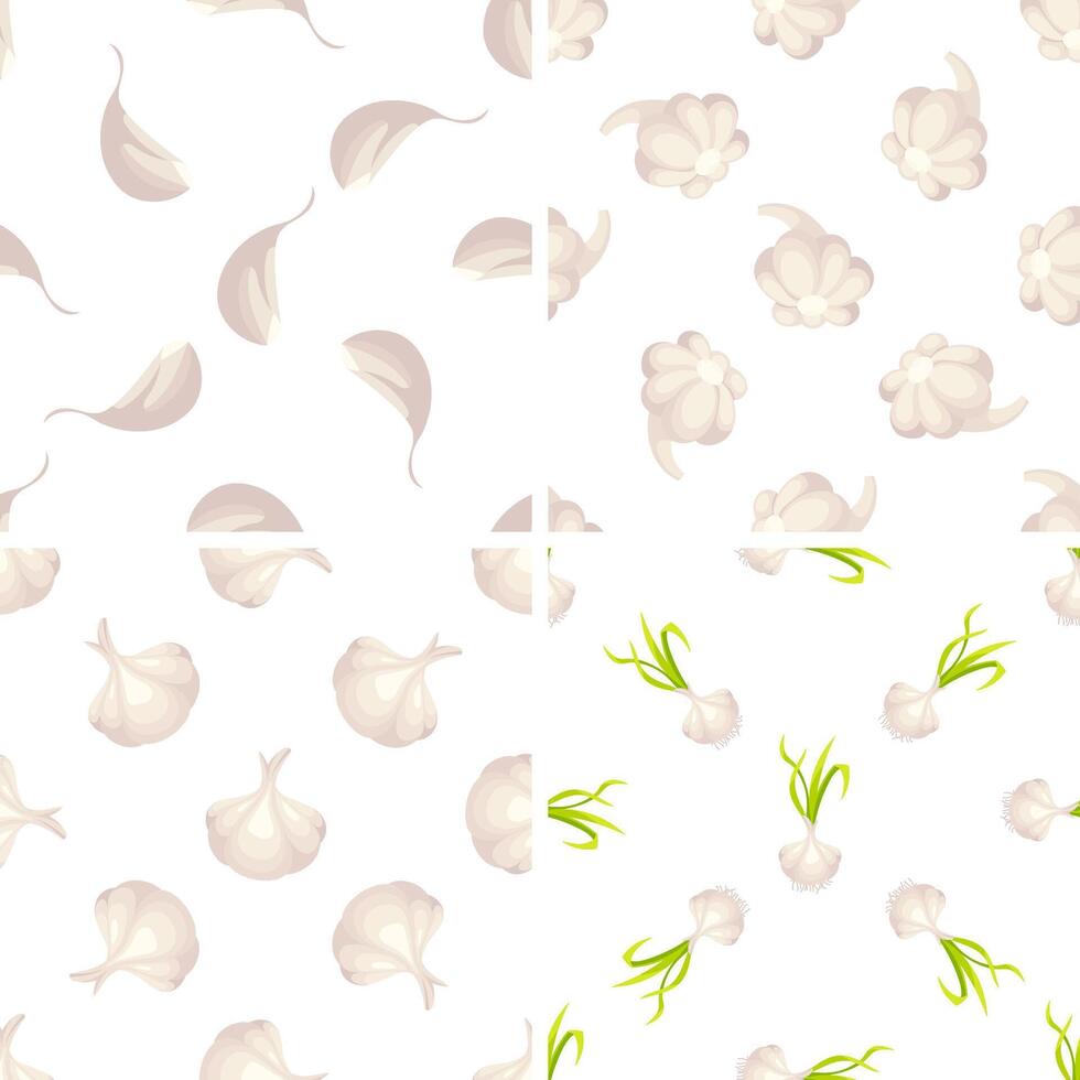 Seamless pattern with garlic cloves, heads and green sprouts showing different stages of growth vector