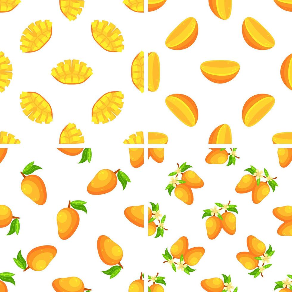 Seamless pattern with fresh mango fruit, slices, flowers and leaves showing different stages of ripeness vector