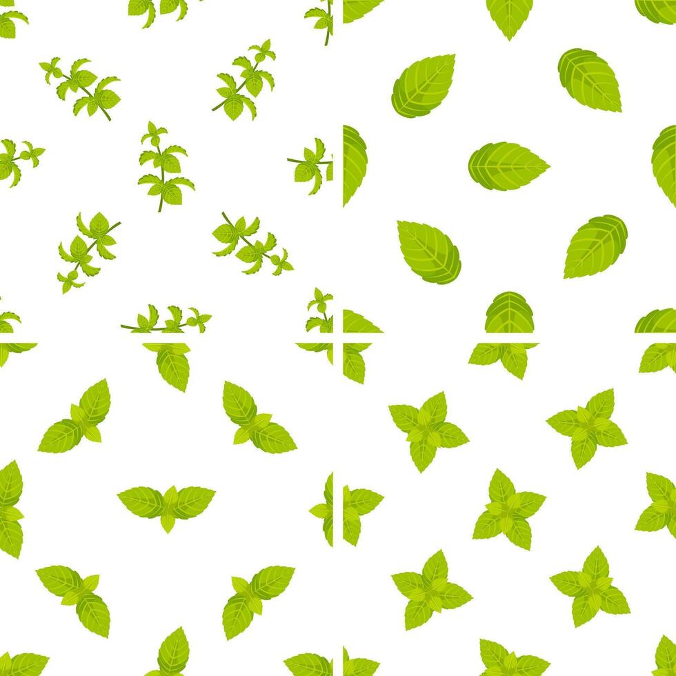 Seamless pattern with fresh mint leaves and sprigs on white background vector