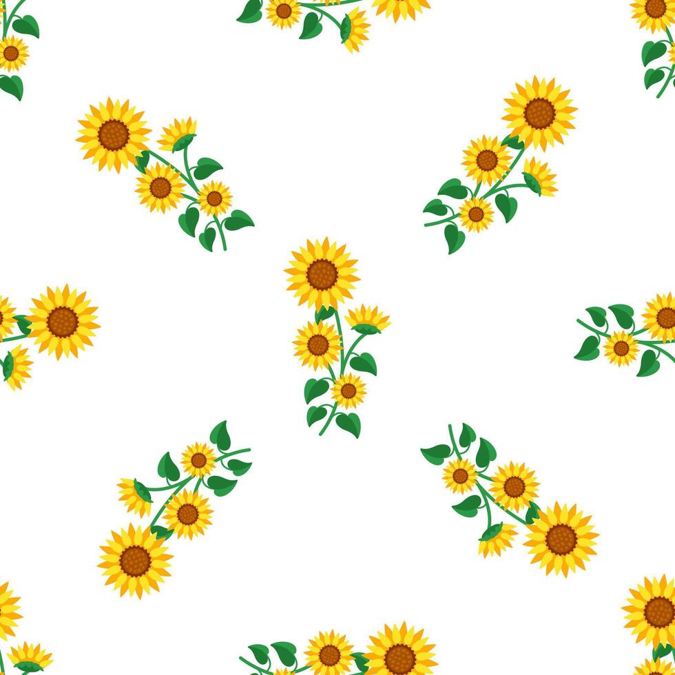 Seamless pattern with sunflowers growing on curved stem with green leaves on white background vector