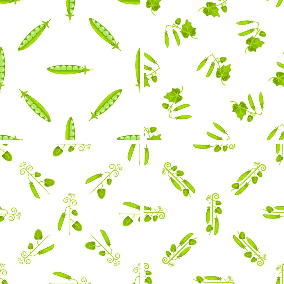 Seamless pattern with green peas growing on vines and open pods showing peas inside on white background vector