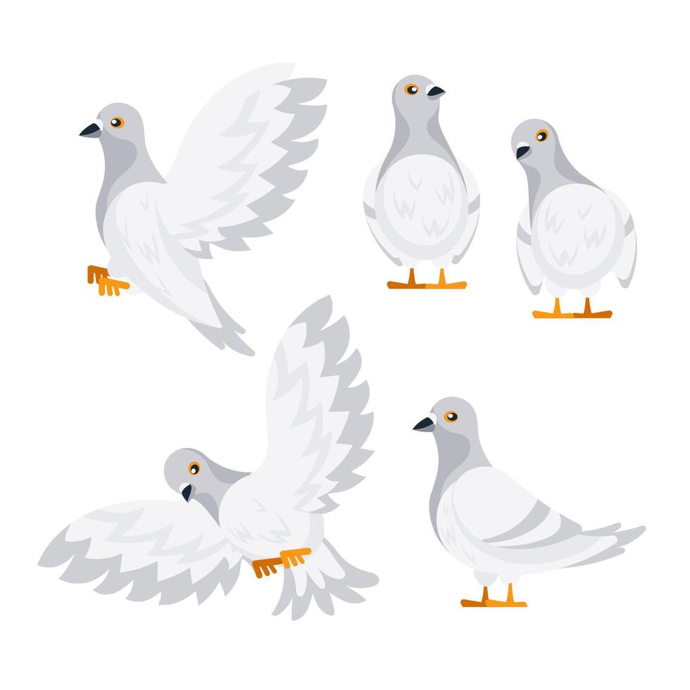 White doves flapping wings and standing still in different positions vector