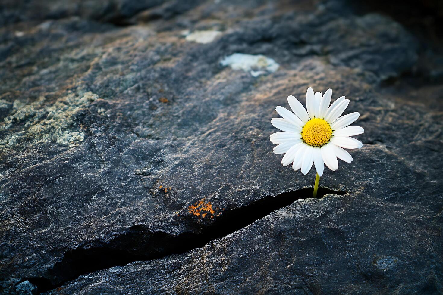 Breaking Through Adversity photo