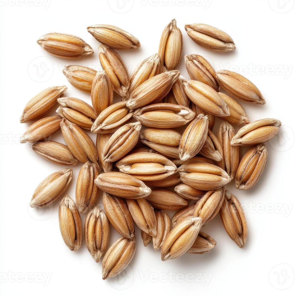 Whole barley grains are nutritious food ingredient, showcasing their natural texture and color. These grains are often used in various recipes and health foods photo