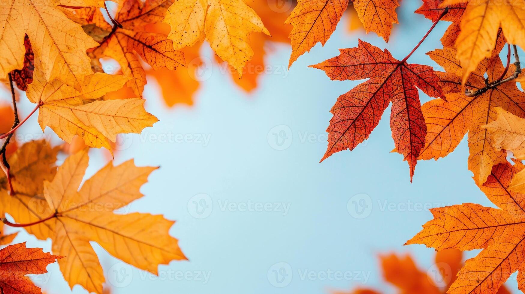 Colorful autumn leaves frame serene blue sky, creating vibrant and warm atmosphere. rich hues of orange and yellow evoke feelings of tranquility and beauty of nature photo