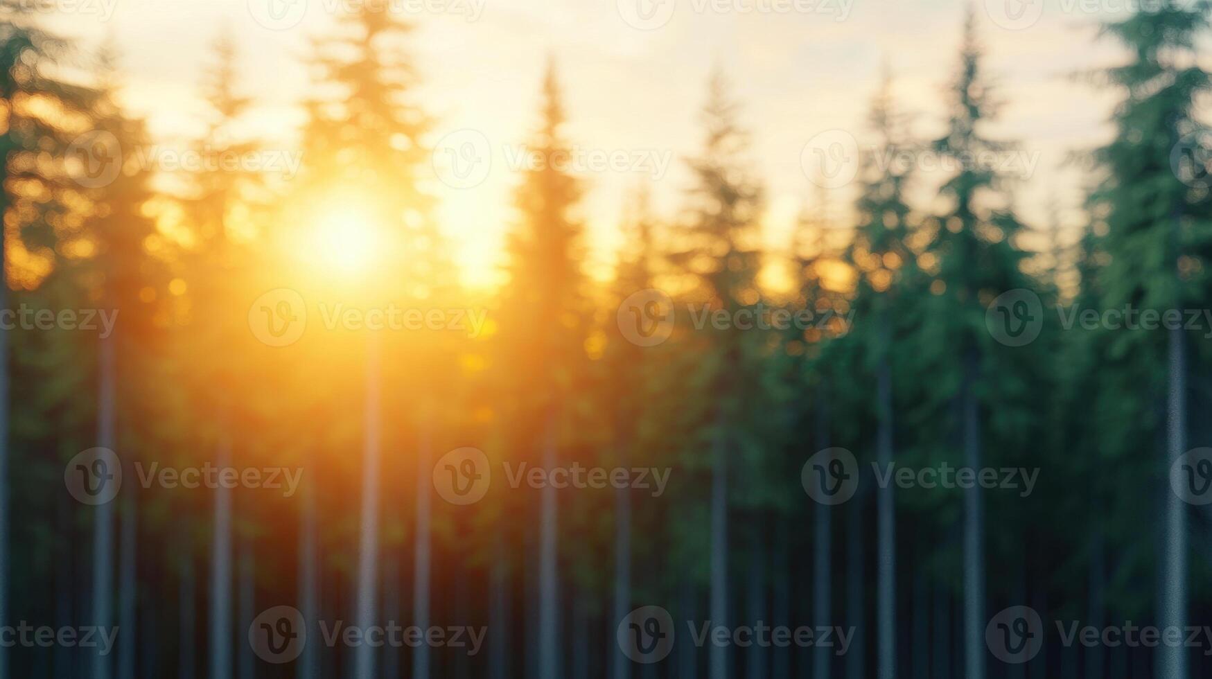 serene sunset casts warm glow through dense forest, with tall trees silhouetted against vibrant sky. soft light creates peaceful atmosphere, inviting tranquility and reflection photo
