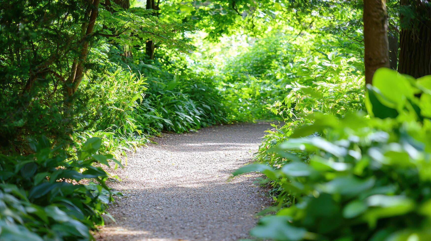 serene forest path winding through lush greenery invites exploration and tranquility photo