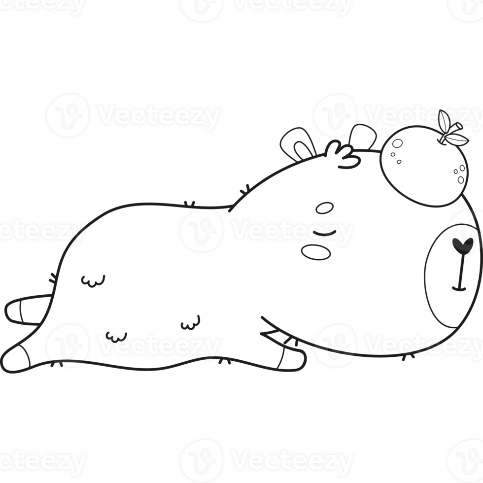 Outline relax sleeping Capybara with tangerine png