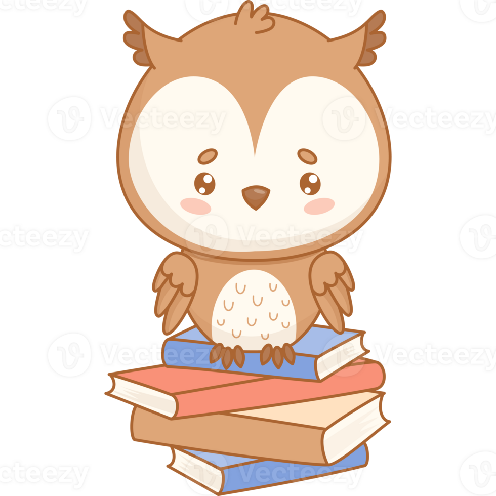Wise Owl bird Sitting on stack of books png