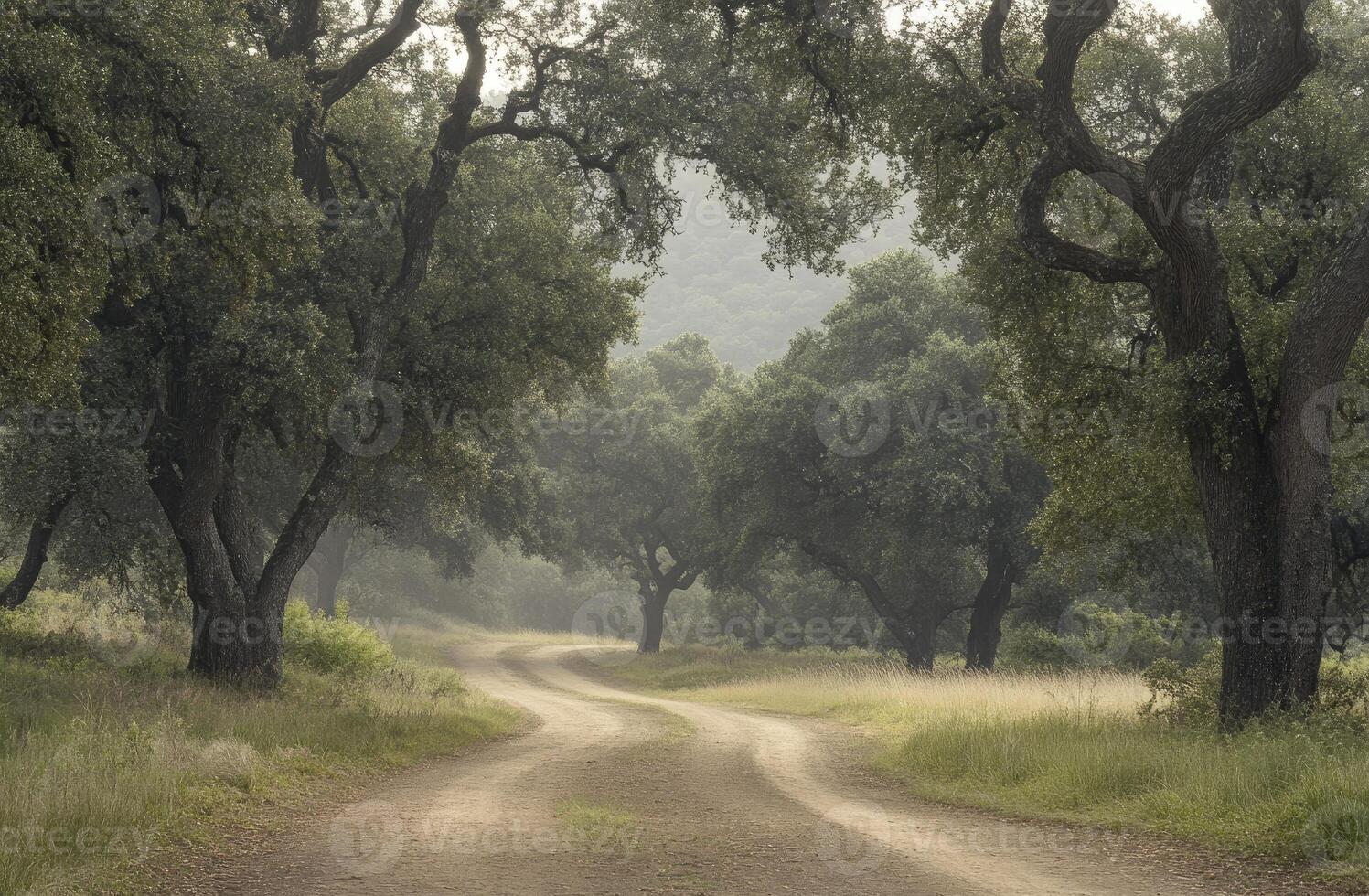A dirt road surrounded by trees in the middle of a field photo