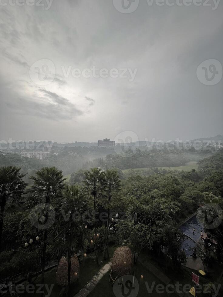A view of the city from the top of a hill photo
