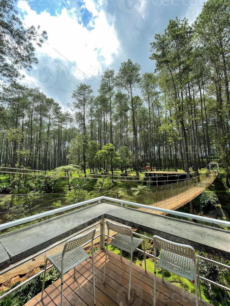 A wooden deck overlooking a pond and trees photo