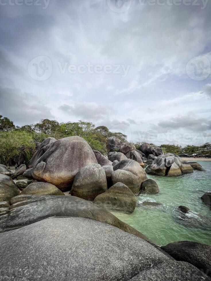 A rocky beach with large boulders and trees photo