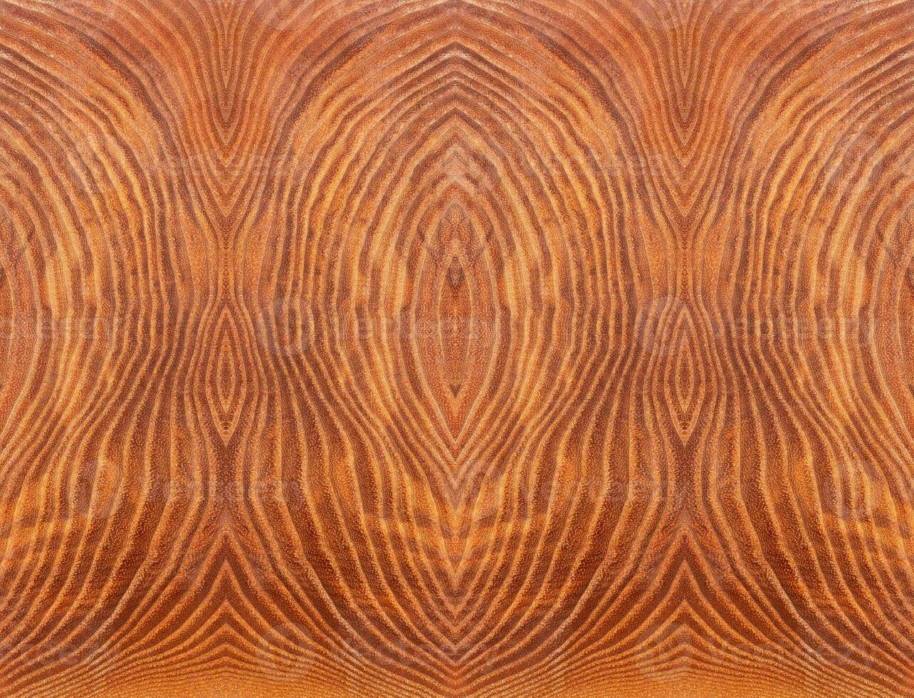 background is pattern with a wood texture on brown slice. Stabilized wood photo