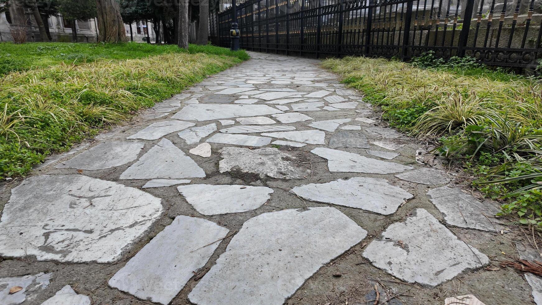 Stone pathway in a tranquil park surrounded by greenery and trees photo
