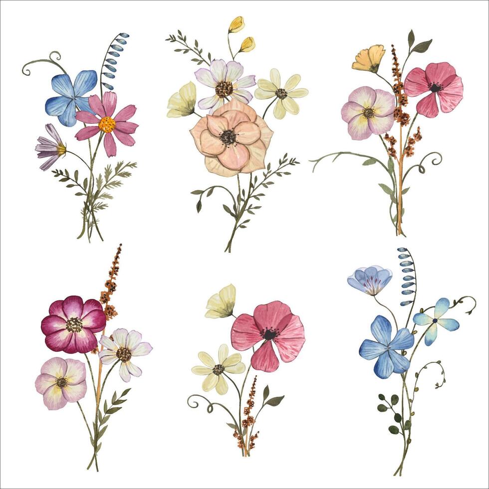 Collection with pressed dry flower bouquets.Watercolor illustration vector