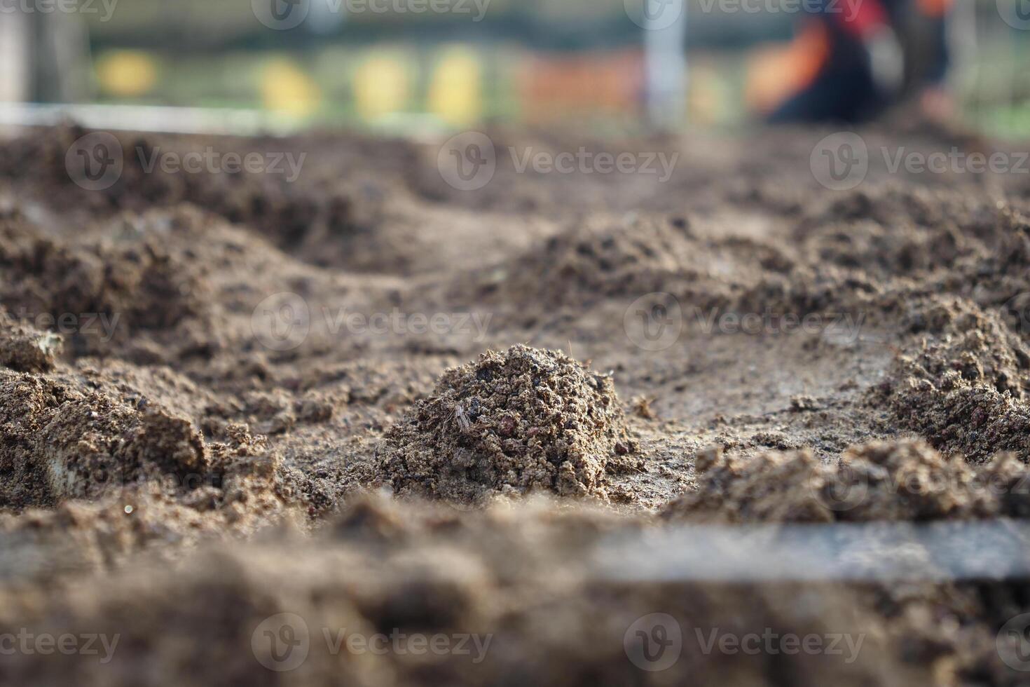Soil preparation and cultivation in a farmland setting photo