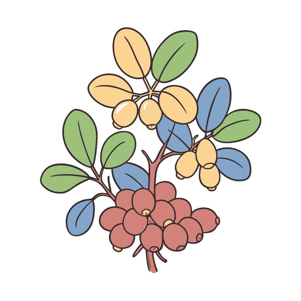 colorful botanical illustration featuring berries and leaves in a stylized artistic design vector