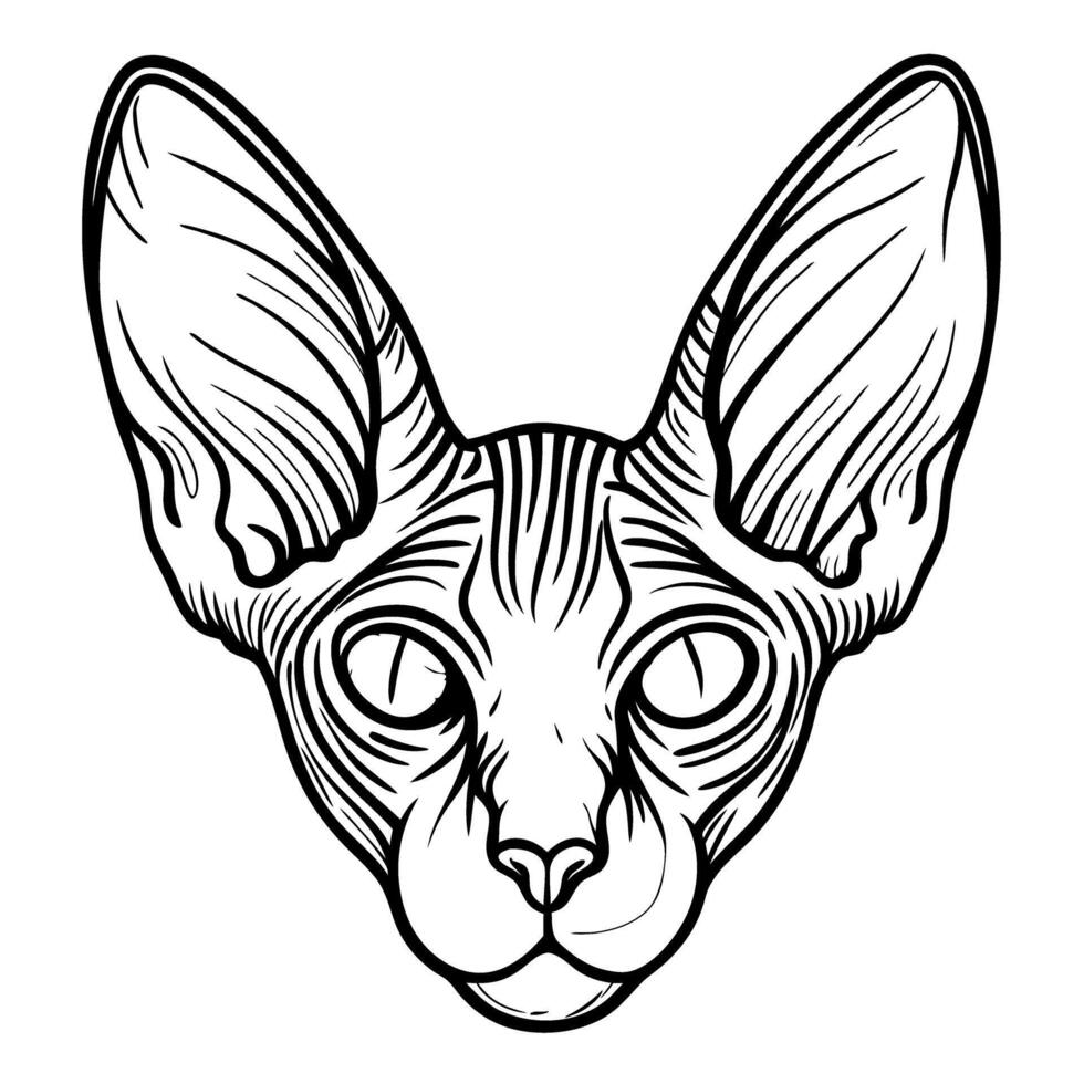 Sphynx cat line art illustration minimalist black and white design of a hairless feline vector