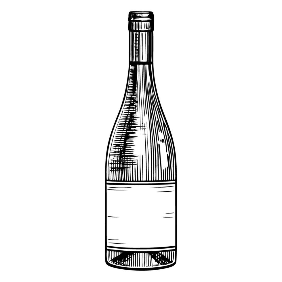 illustrative wine bottle drawing elegant design, vintage collection art detailed black and white sketch vector
