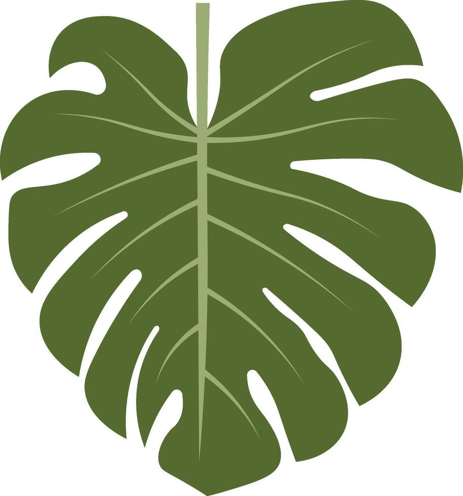 Hand-Drawn Monstera Leaf vector