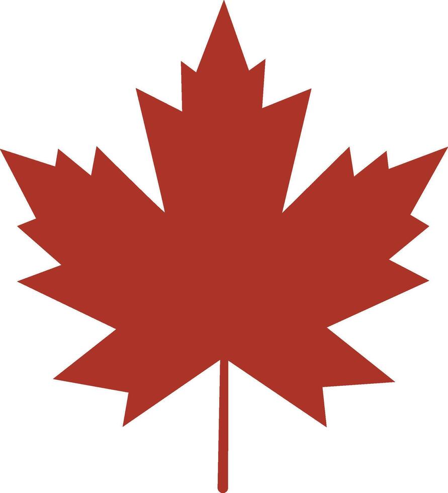 Maple leaf illustration vector