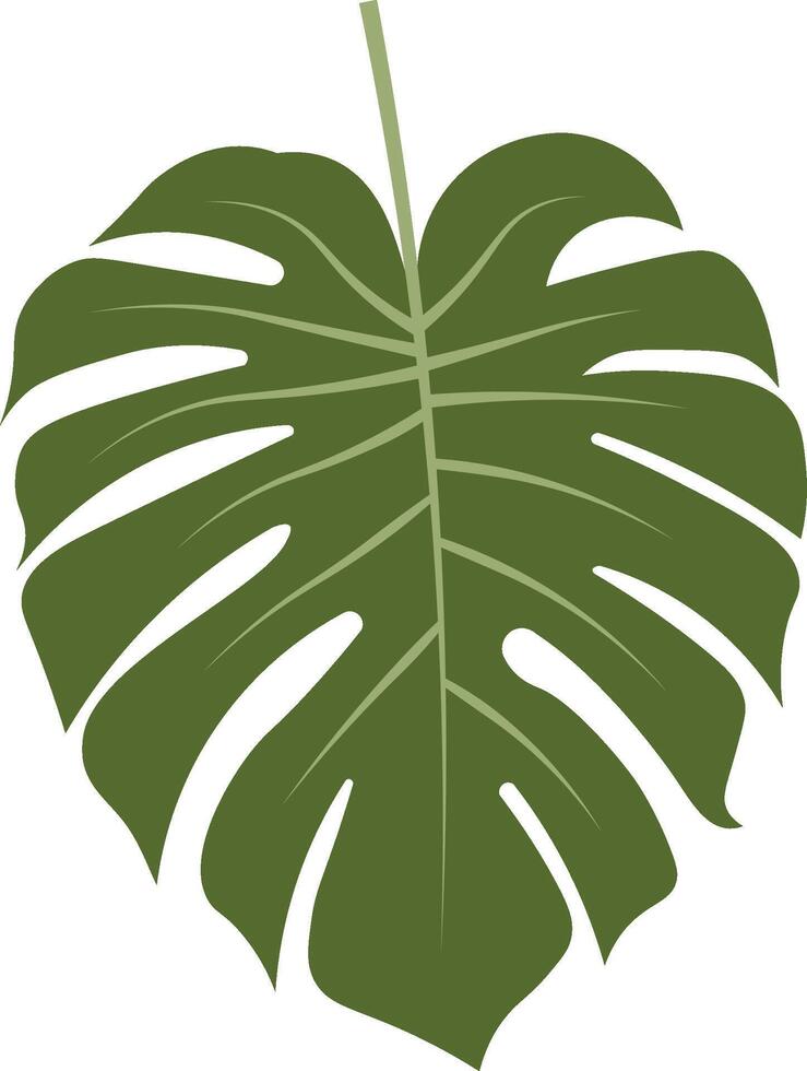 Exotic Monstera Leaf vector