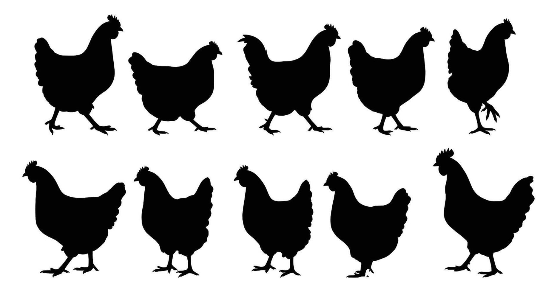 Chicken Silhouette Set vector