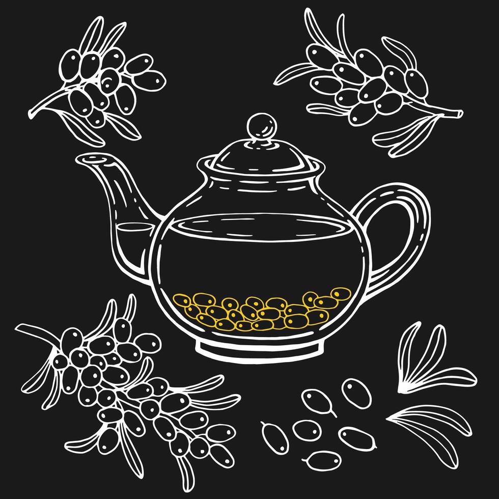 Teapot of tea with healthy tea, sea buckthorn. Hand drawn illustration. vector