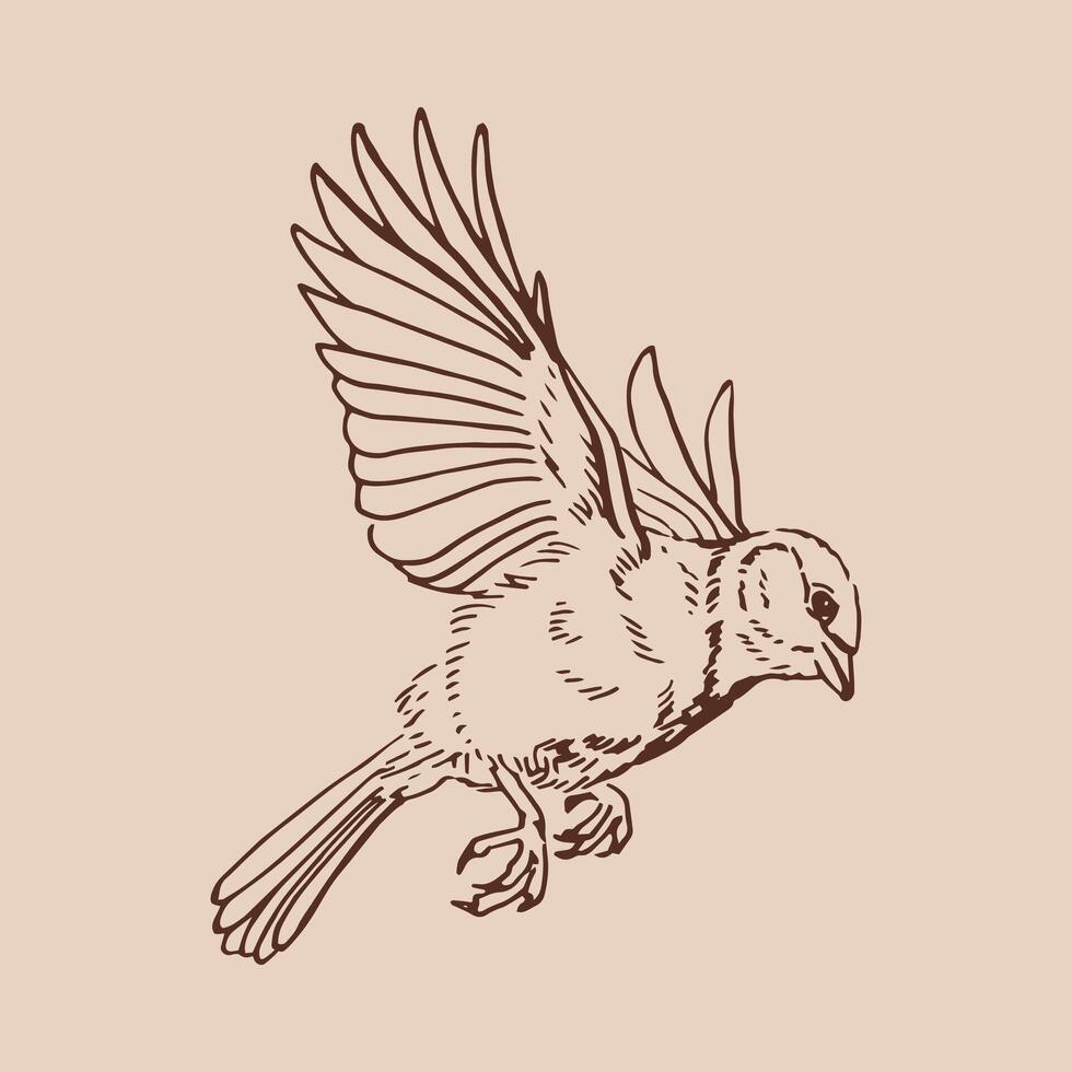 Titmouse. Flying bird. Hand drawn illustration vector