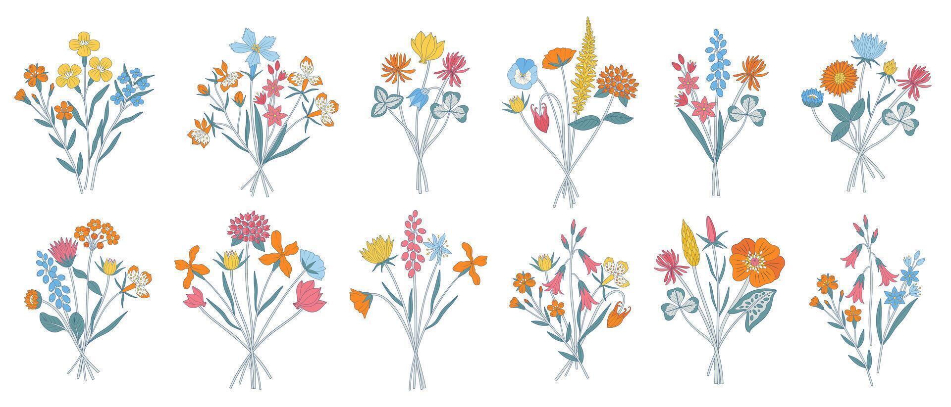 Wildflower colorful bouquets set. Bunches of blooming different meadow flowers, herbs, and wild plants. Botanical elements for design projects, minimal style vector