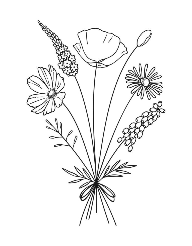 Wildflower line art bouquet. Hand drawn flowers, meadow herbs, wild plants, and botanical elements for design projects, outline vector