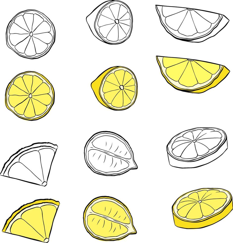 Fresh lemon fruits slices isolated icon set. Yellow and black and white lemon fruit graphic line ink illustration for package, kitchen design, fabric and textile. vector