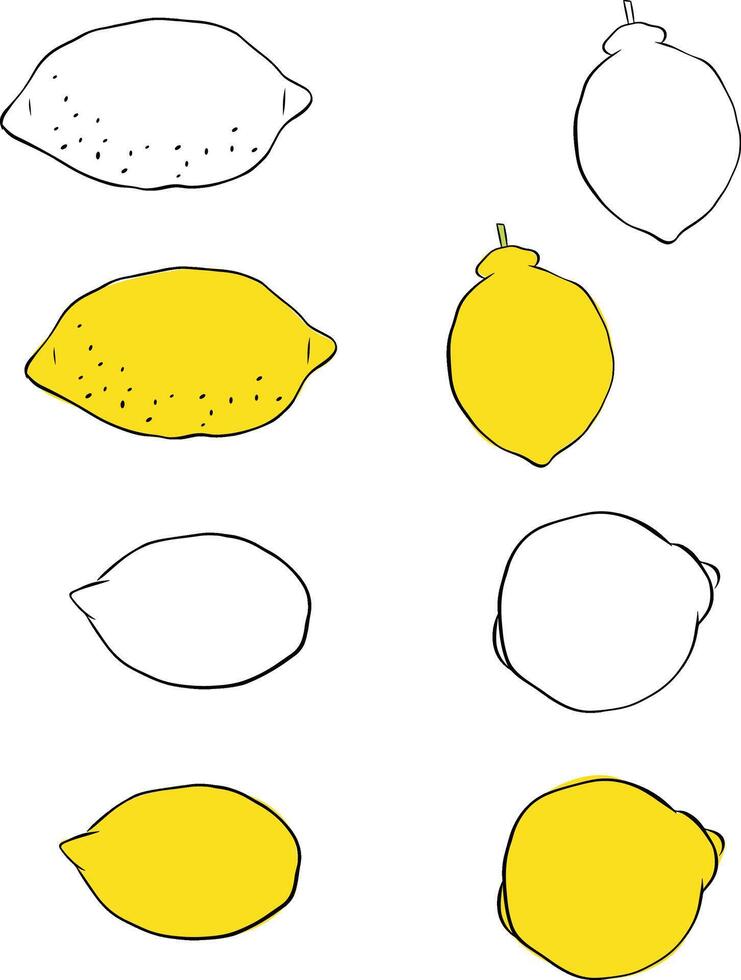 Fresh yellow whole lemon set. Graphic line ink Organic fruits for lemonade juice or vitamin C healthy food. illustration isolated on white background. vector