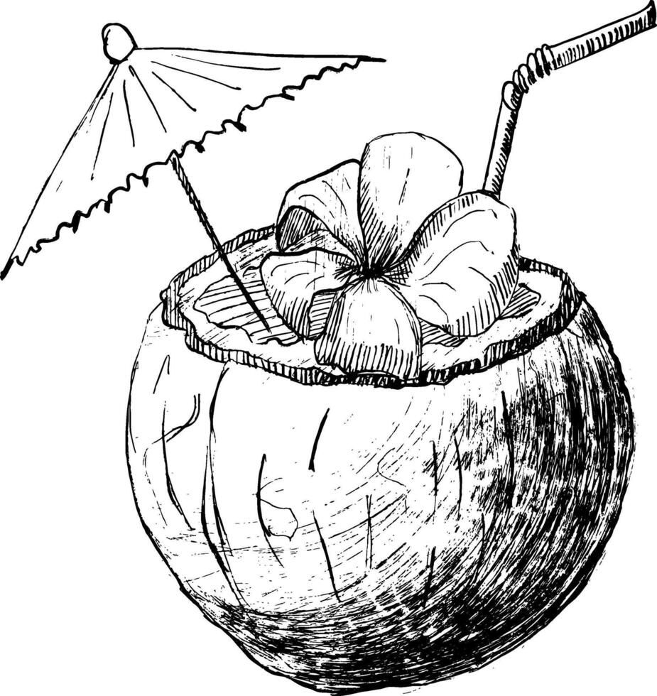 Coconut cocktail with flower. Exotic drink with bar umbrella. graphic ink illustration isolated on white background. vector