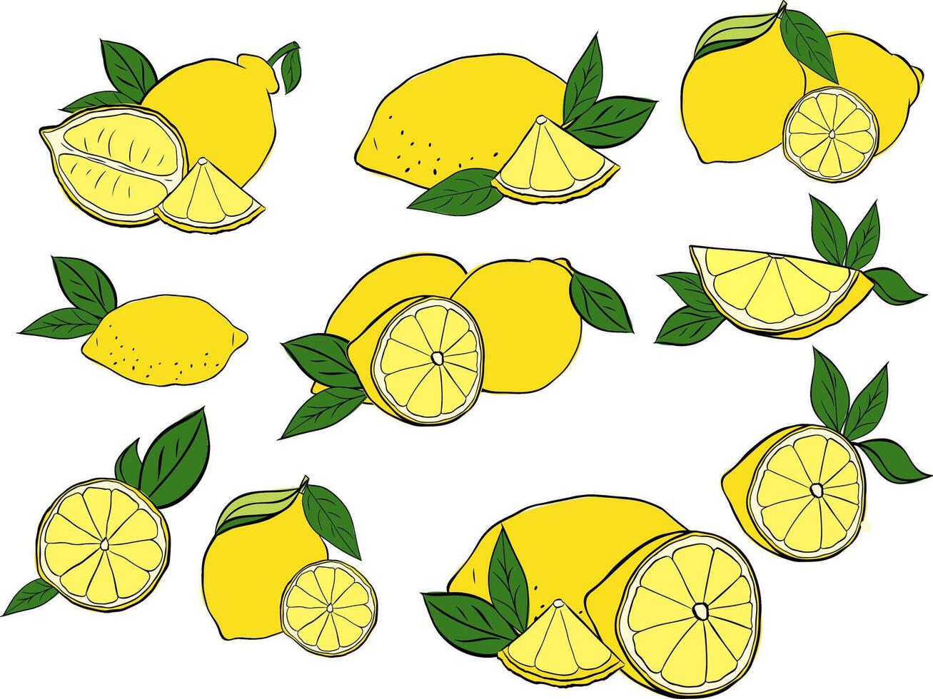 Lemon with leaves composition set. graphic line ink illustration in transparent background. art for food design, recipe, cook book, packages, menu, food ads and decor vector