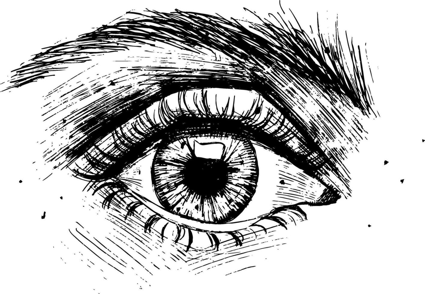 Ink brush drawn eye. sign of human eye. graphic ink illustration of womens eye vector