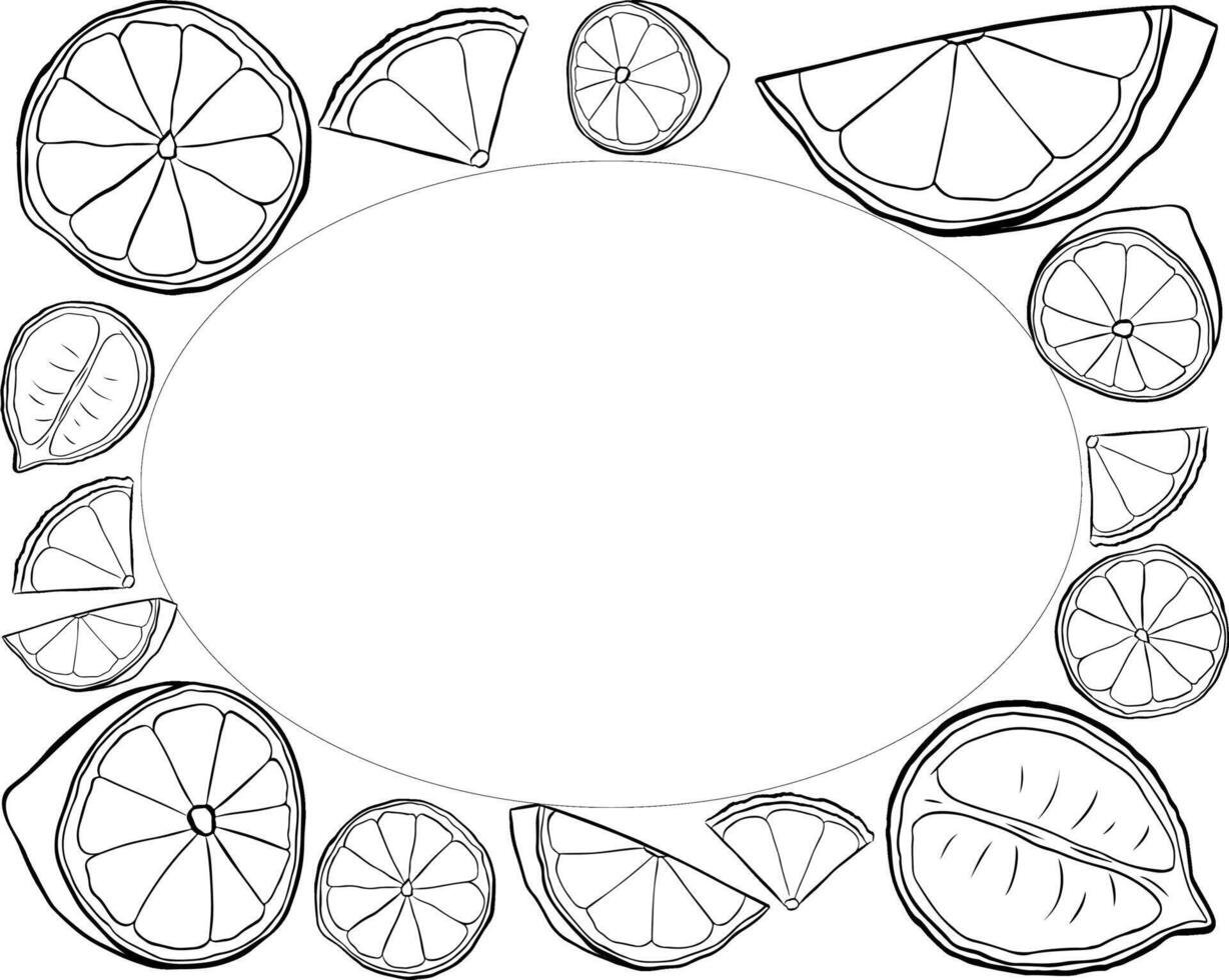 Citric black and white lemon slices rectangle frame. graphic line ink text frame templates. Design for menu, package, cosmetic, textile. vector