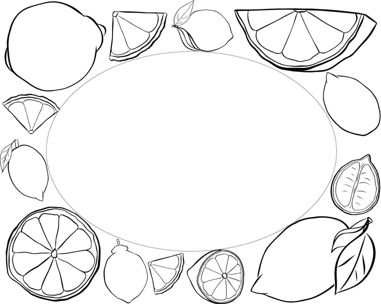 Lemon whole and slices rectangle frame. black and white graphic line ink text frame template. Sample poster, party invitation, holiday banner, postcard. vector