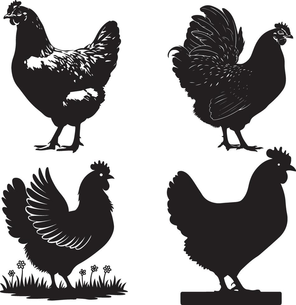 four silhouettes of chickens on a white background vector